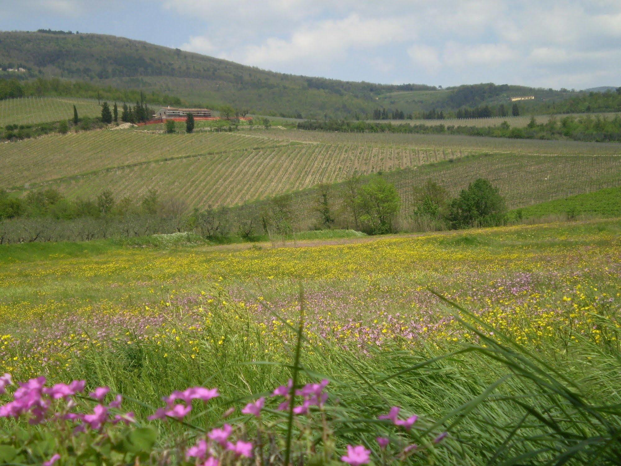 Nido Del Merlo Santomato Exterior foto